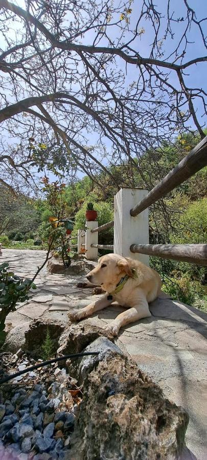 Villa Molino Laroya Extérieur photo